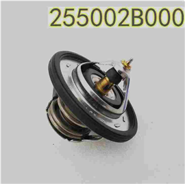 25500-2B000