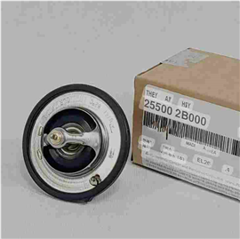 25500-2B000