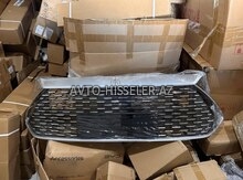 BYD Qin Plus Radiator Barmaqlığı -ablisovka